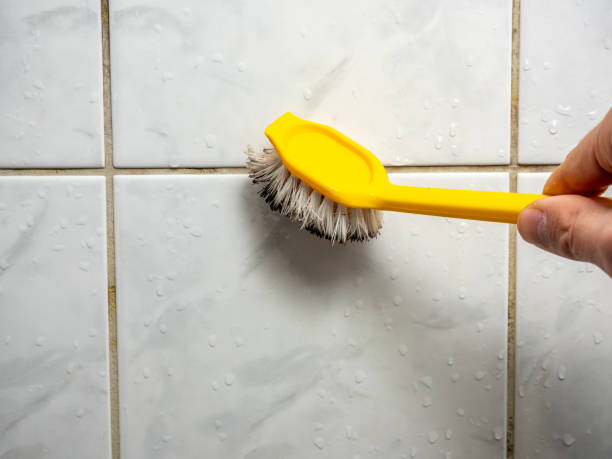 Best Commercial Mold Removal  in Germantown Hls, IL