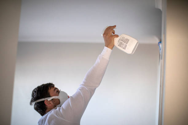 Best Certified Mold Removal  in Germantown Hls, IL