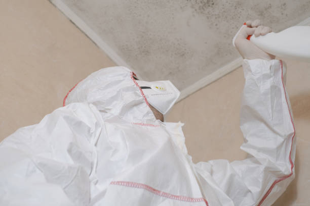 Best Mold Removal Process  in Germantown Hls, IL